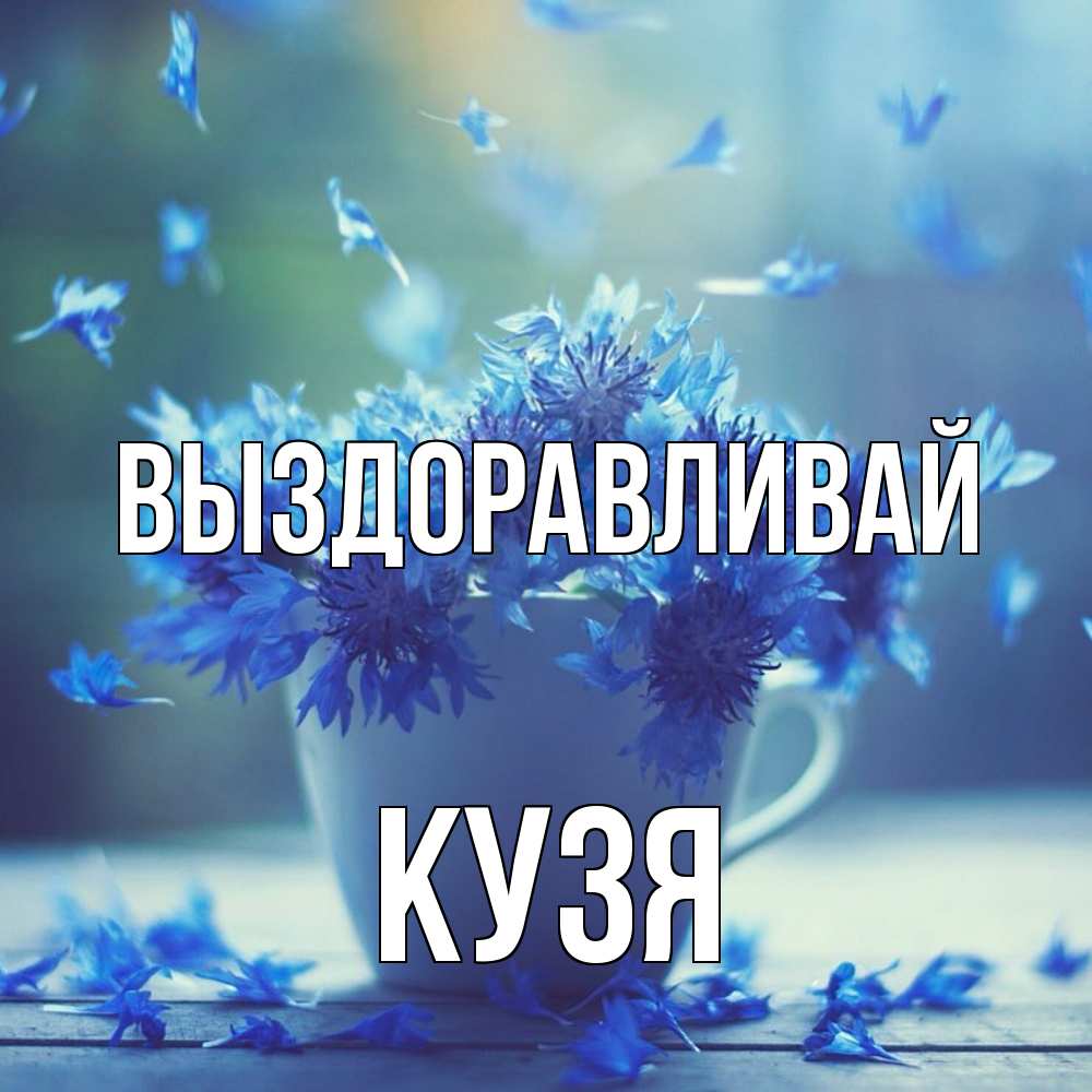 Открытка на каждый день с именем, Кузя Выздоравливай кружка с зельем и цветами Прикольная открытка с пожеланием онлайн скачать бесплатно 