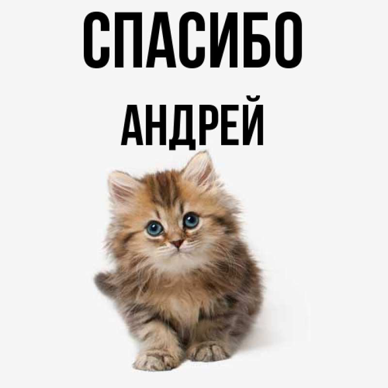 Картинка Спасибо, Андрей