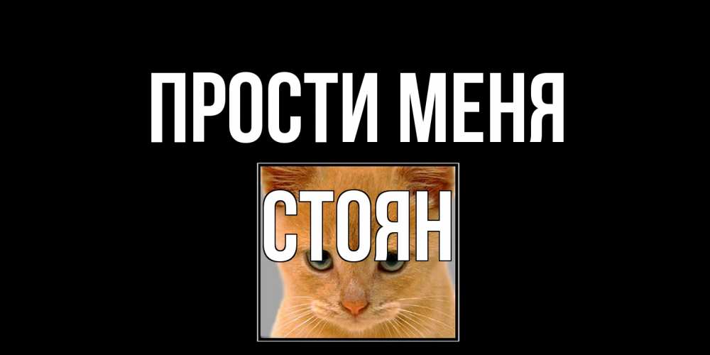 Открытка на каждый день с именем, Стоян Прости меня рыжий грустный кот просит прощения Прикольная открытка с пожеланием онлайн скачать бесплатно 