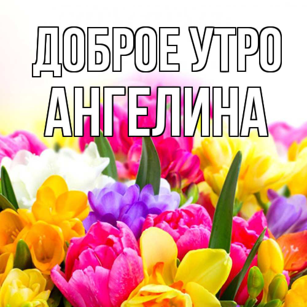Открытка на каждый день с именем, Ангелина Доброе утро создать открытку со свое подписью Прикольная открытка с пожеланием онлайн скачать бесплатно 
