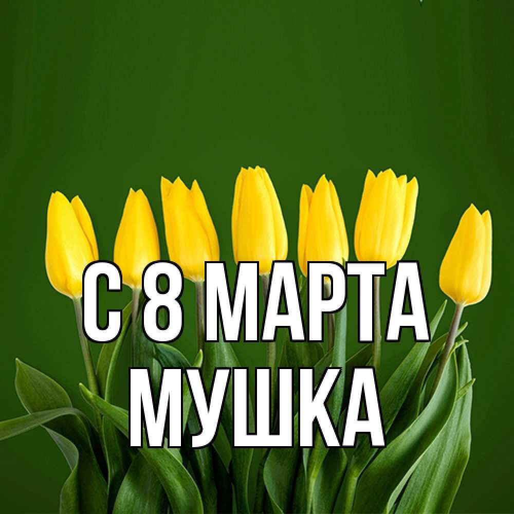 Открытка на каждый день с именем, мушка C 8 МАРТА желтого цвета 3 Прикольная открытка с пожеланием онлайн скачать бесплатно 