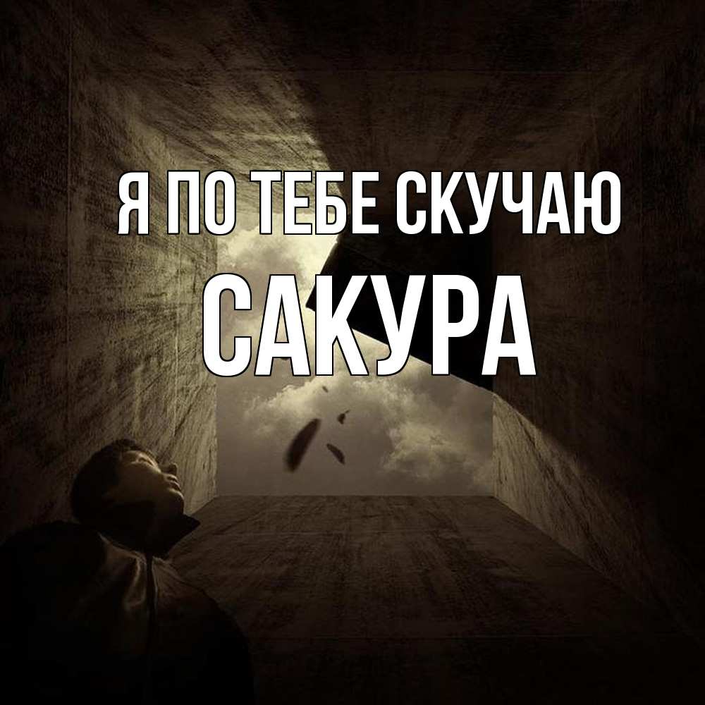 Открытка на каждый день с именем, Сакура Я по тебе скучаю тут Прикольная открытка с пожеланием онлайн скачать бесплатно 