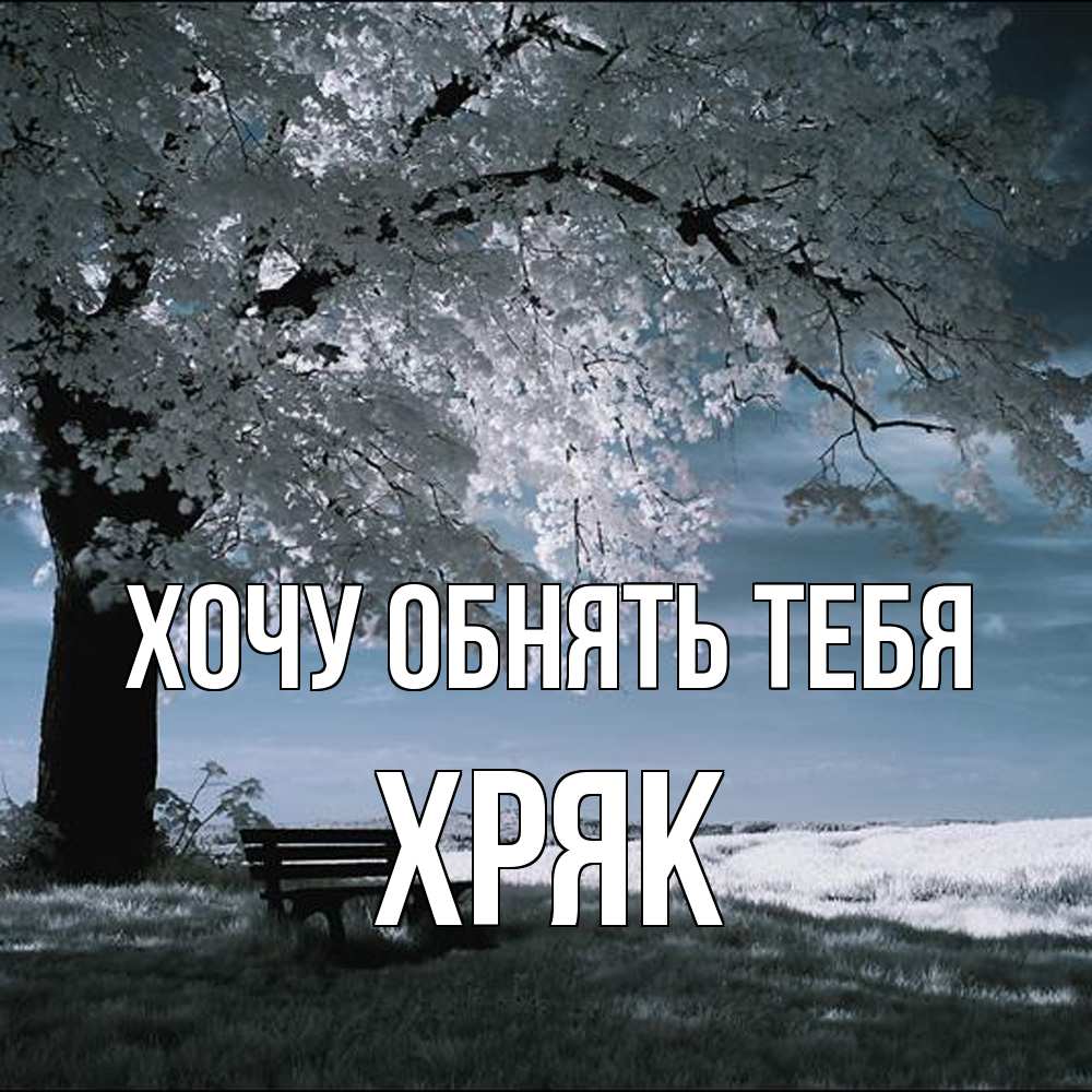 Открытка на каждый день с именем, Хряк Хочу обнять тебя дерево Прикольная открытка с пожеланием онлайн скачать бесплатно 
