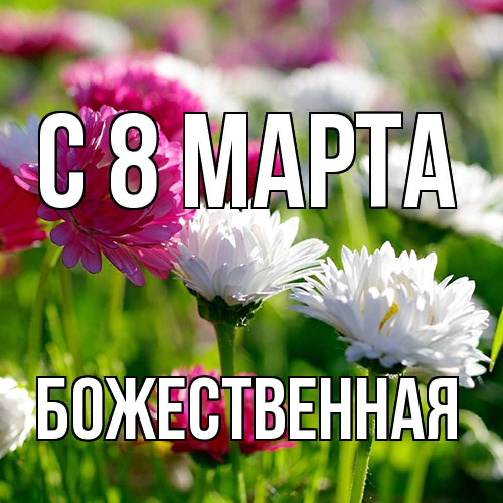 Открытка на каждый день с именем, божественная C 8 МАРТА международный женский день 1 Прикольная открытка с пожеланием онлайн скачать бесплатно 