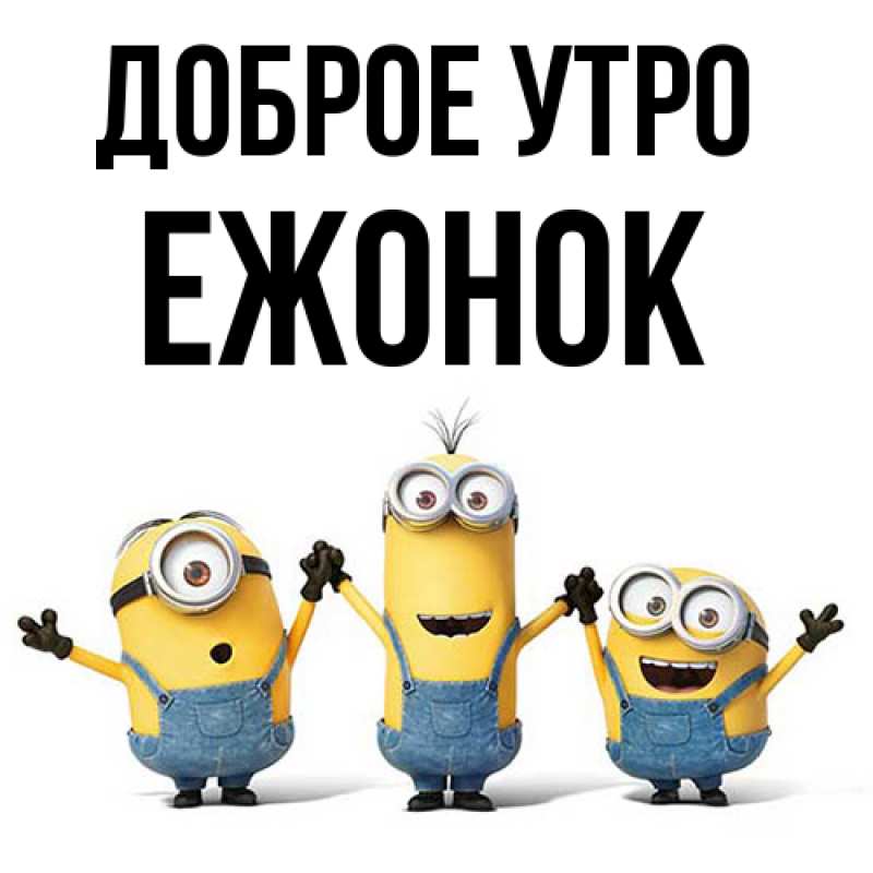 Картинка Доброе утро, Ежонок