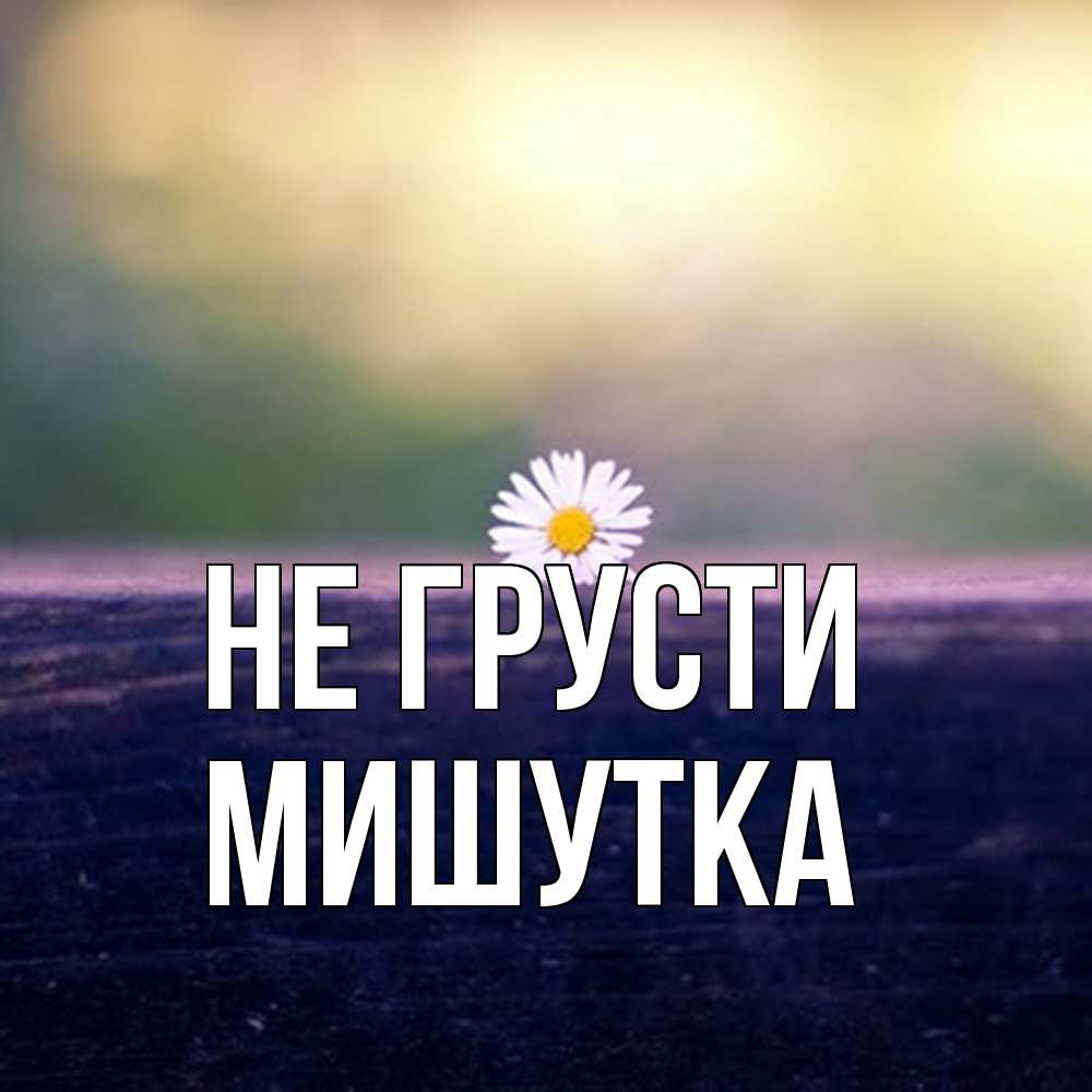 Открытка на каждый день с именем, Мишутка Не грусти красота Прикольная открытка с пожеланием онлайн скачать бесплатно 