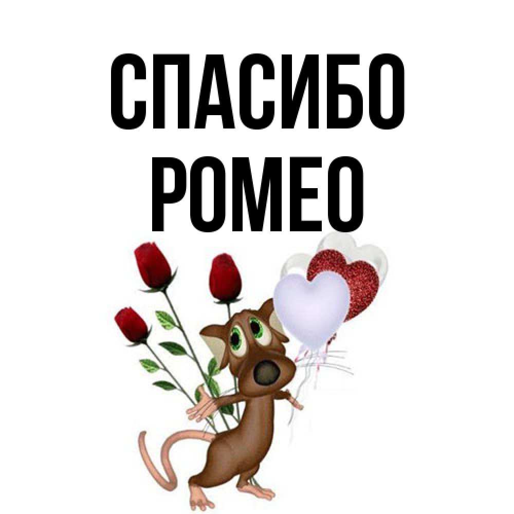 Открытка на каждый день с именем, Ромео Спасибо песик с шариками в форме сердец Прикольная открытка с пожеланием онлайн скачать бесплатно 