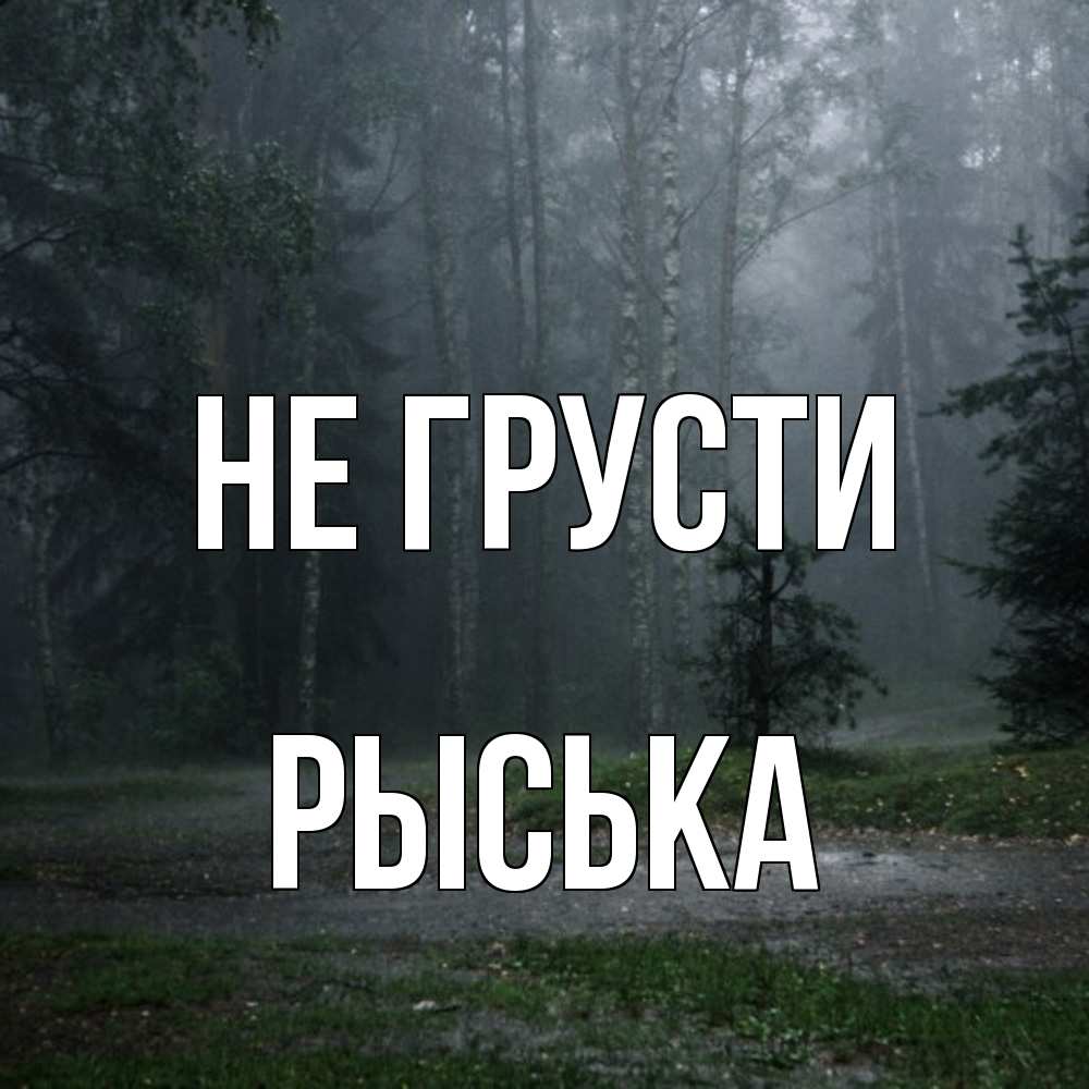 Открытка на каждый день с именем, Рыська Не грусти осень Прикольная открытка с пожеланием онлайн скачать бесплатно 