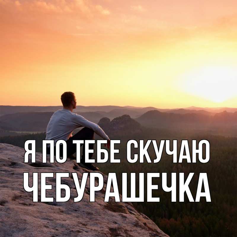 Картинка Я по тебе скучаю, Чебурашечка