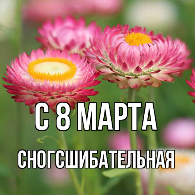 Картинка C 8 МАРТА, сногсшибательная