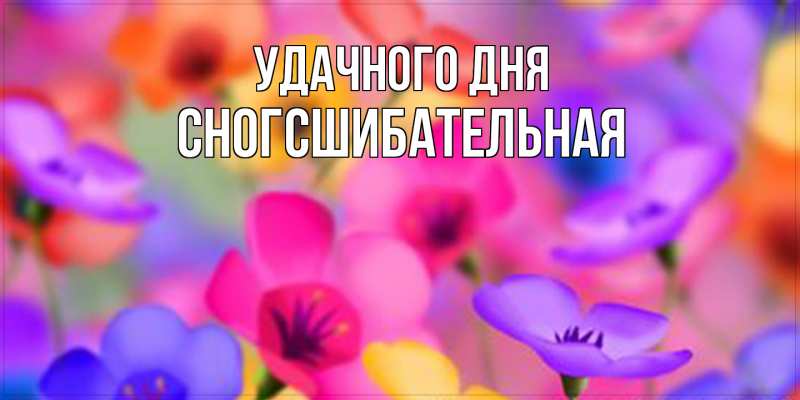 Картинка Удачного дня, сногсшибательная