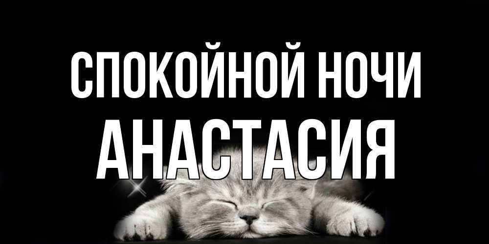 Открытка на каждый день с именем, Анастасия Спокойной ночи спящий котик Прикольная открытка с пожеланием онлайн скачать бесплатно 