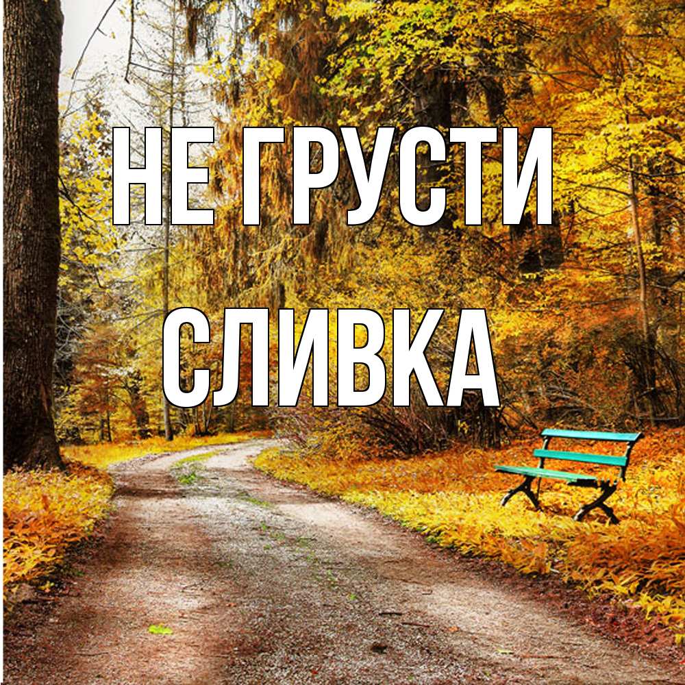 Открытка на каждый день с именем, Сливка Не грусти зеленая лавочка Прикольная открытка с пожеланием онлайн скачать бесплатно 