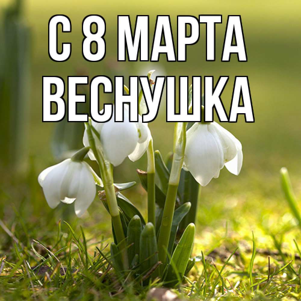 Открытка на каждый день с именем, веснушка C 8 МАРТА ранние цветы 2 Прикольная открытка с пожеланием онлайн скачать бесплатно 