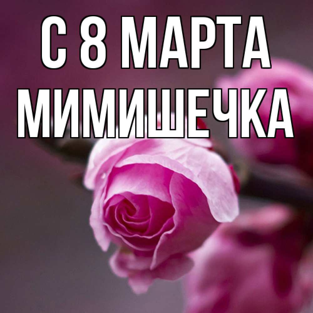 Открытка на каждый день с именем, мимишечка C 8 МАРТА весна Прикольная открытка с пожеланием онлайн скачать бесплатно 