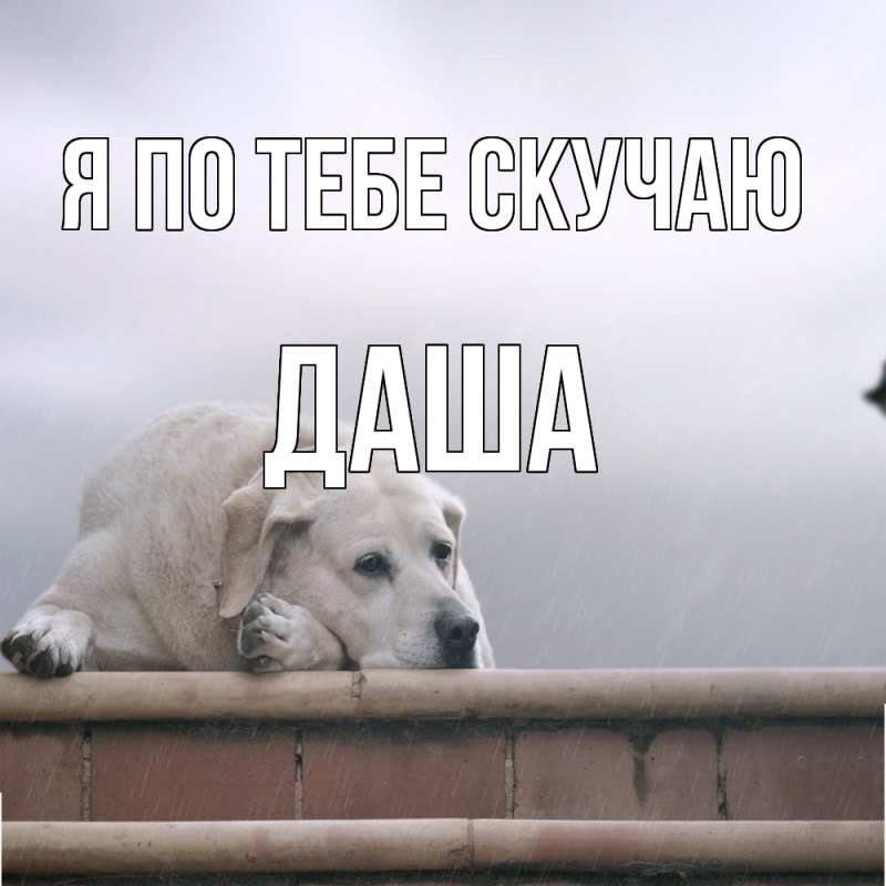 Картинка Я по тебе скучаю, Даша
