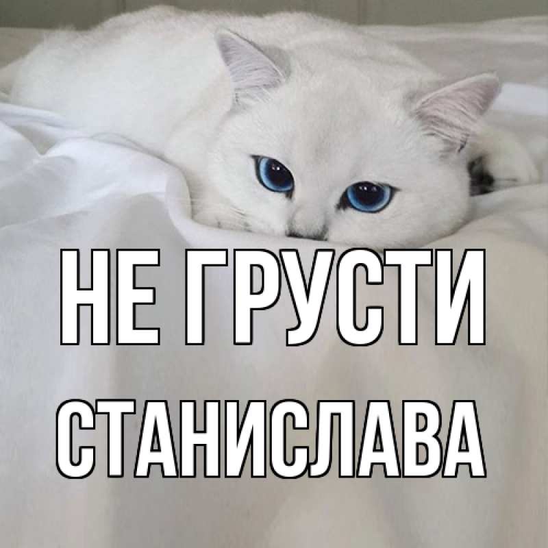 Картинка Не грусти, Станислава