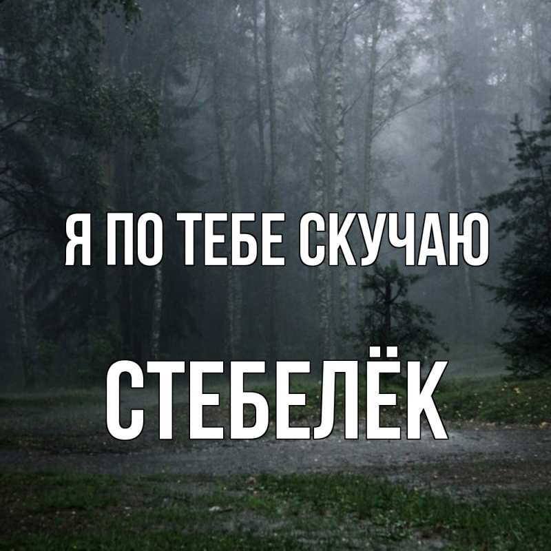 Картинка Я по тебе скучаю, Стебелёк