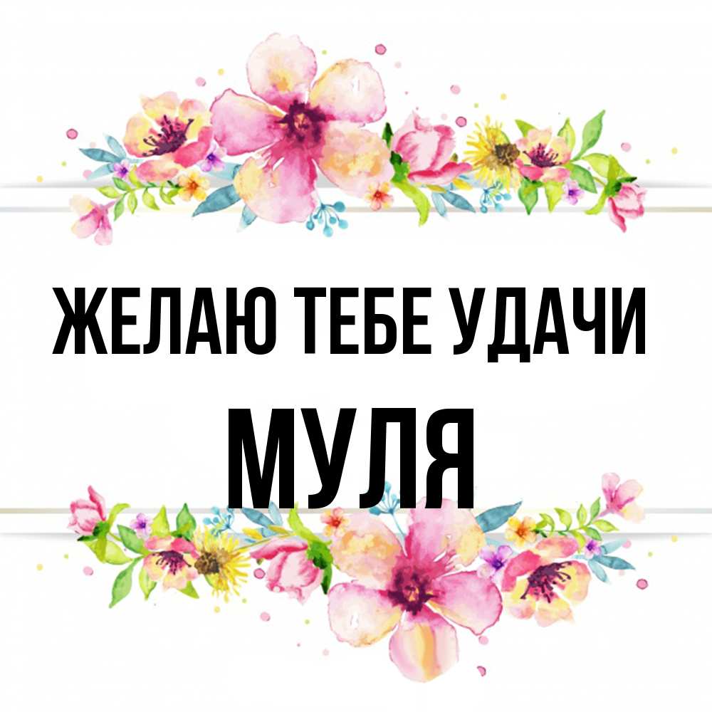Открытка на каждый день с именем, Муля Желаю тебе удачи пусть повезет 1 Прикольная открытка с пожеланием онлайн скачать бесплатно 