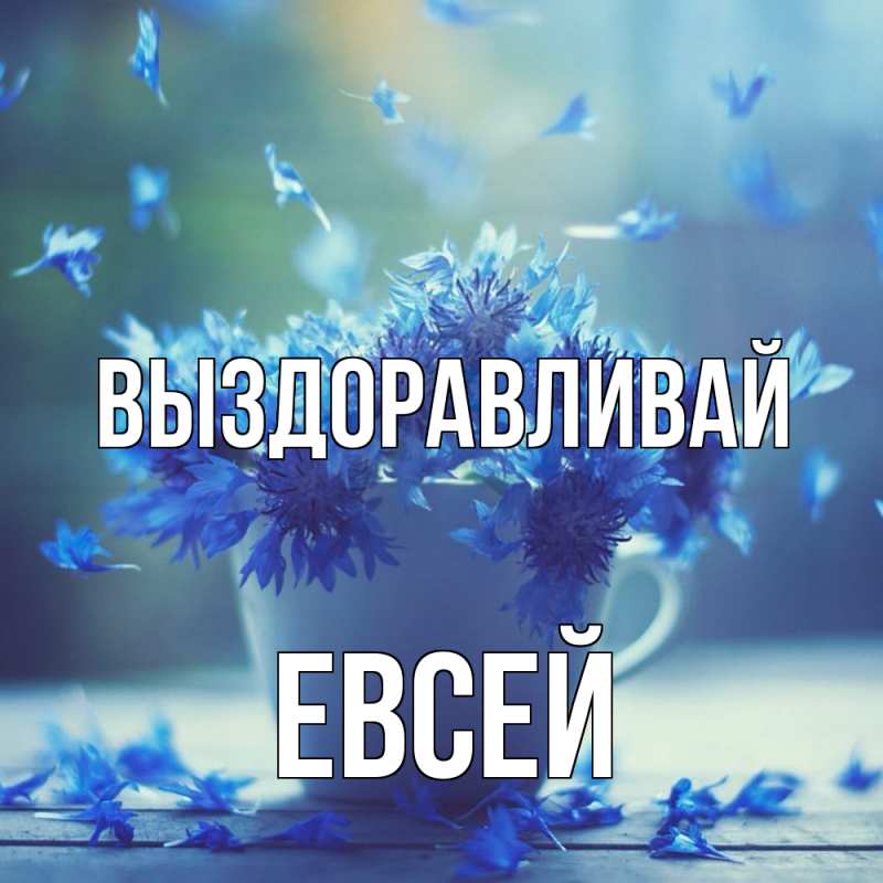 Картинка Выздоравливай, Евсей