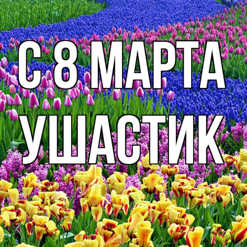Картинка C 8 МАРТА, Ушастик