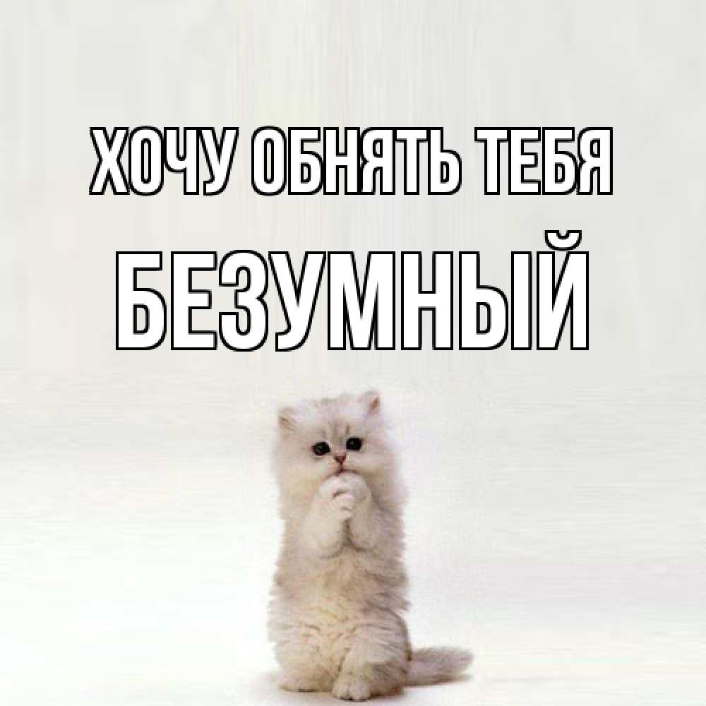 Открытка на каждый день с именем, Безумный Хочу обнять тебя открытки с креативными подписями Прикольная открытка с пожеланием онлайн скачать бесплатно 