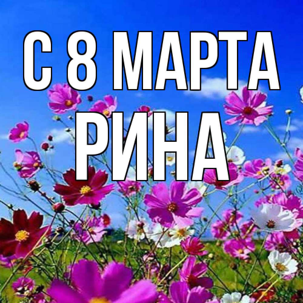 Открытка на каждый день с именем, Рина C 8 МАРТА цветы Прикольная открытка с пожеланием онлайн скачать бесплатно 