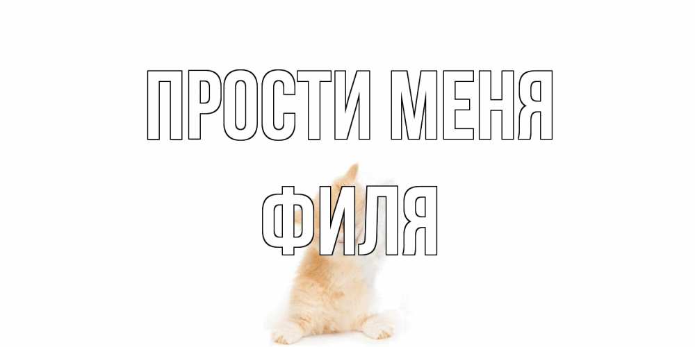 Открытка на каждый день с именем, Филя Прости меня кот Прикольная открытка с пожеланием онлайн скачать бесплатно 