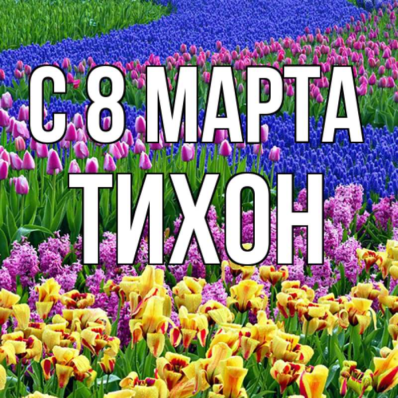 Картинка C 8 МАРТА, Тихон