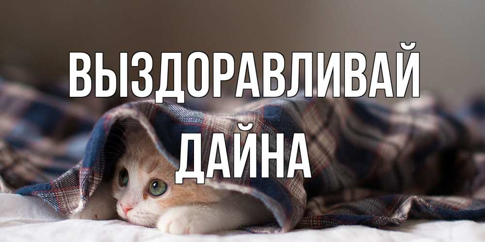 Открытка на каждый день с именем, Дайна Выздоравливай не болейте с котиком Прикольная открытка с пожеланием онлайн скачать бесплатно 