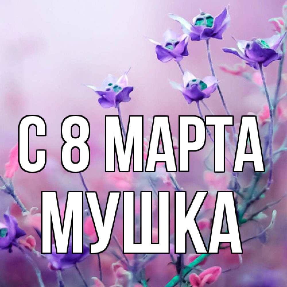 Открытка на каждый день с именем, мушка C 8 МАРТА международный женский день 2 Прикольная открытка с пожеланием онлайн скачать бесплатно 