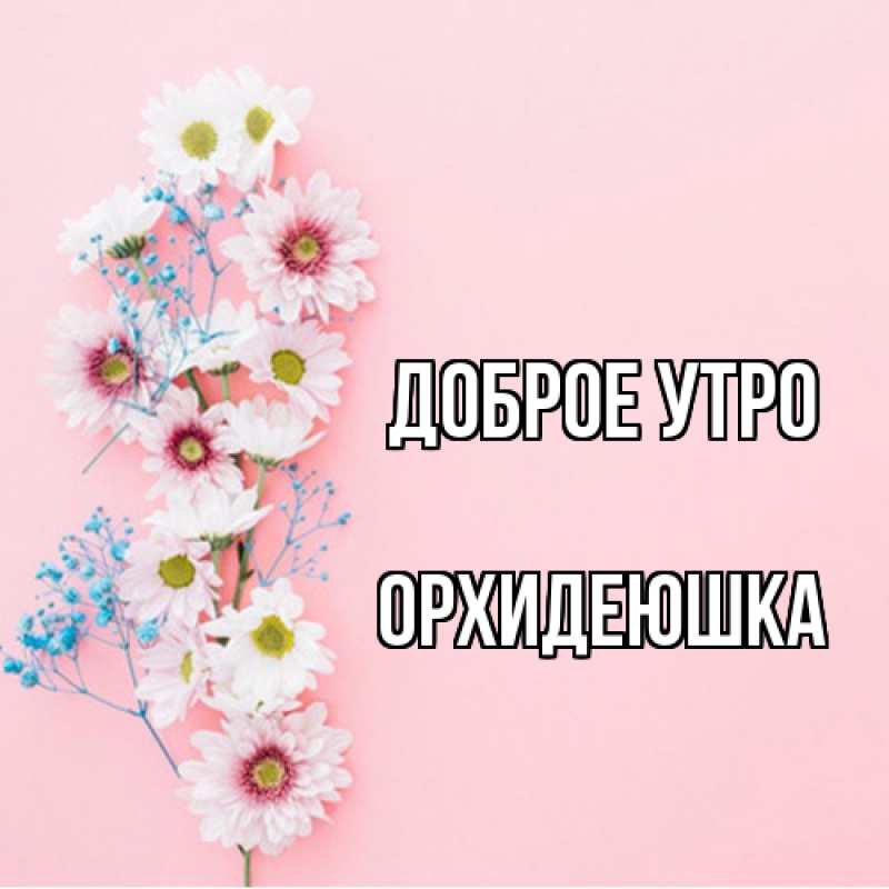 Картинка Доброе утро, Орхидеюшка
