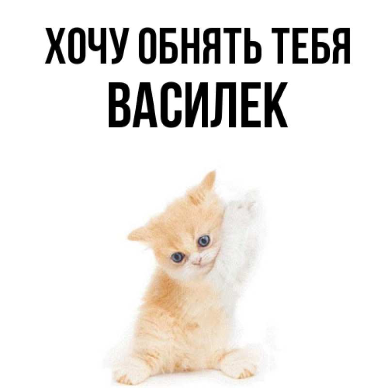 Картинка Хочу обнять тебя, василек