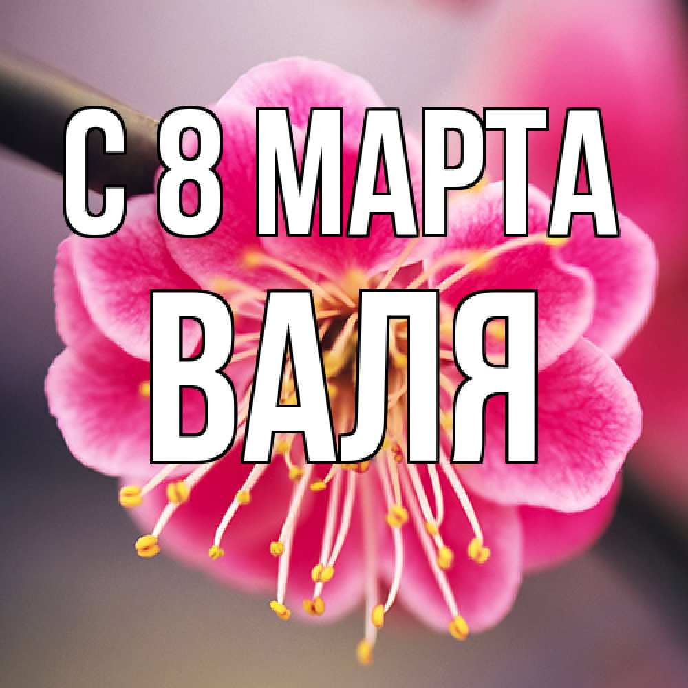 Открытка на каждый день с именем, Валя C 8 МАРТА цветы Прикольная открытка с пожеланием онлайн скачать бесплатно 