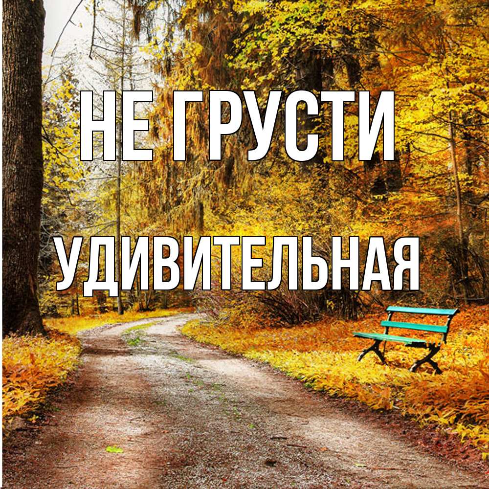 Открытка на каждый день с именем, удивительная Не грусти зеленая лавочка Прикольная открытка с пожеланием онлайн скачать бесплатно 