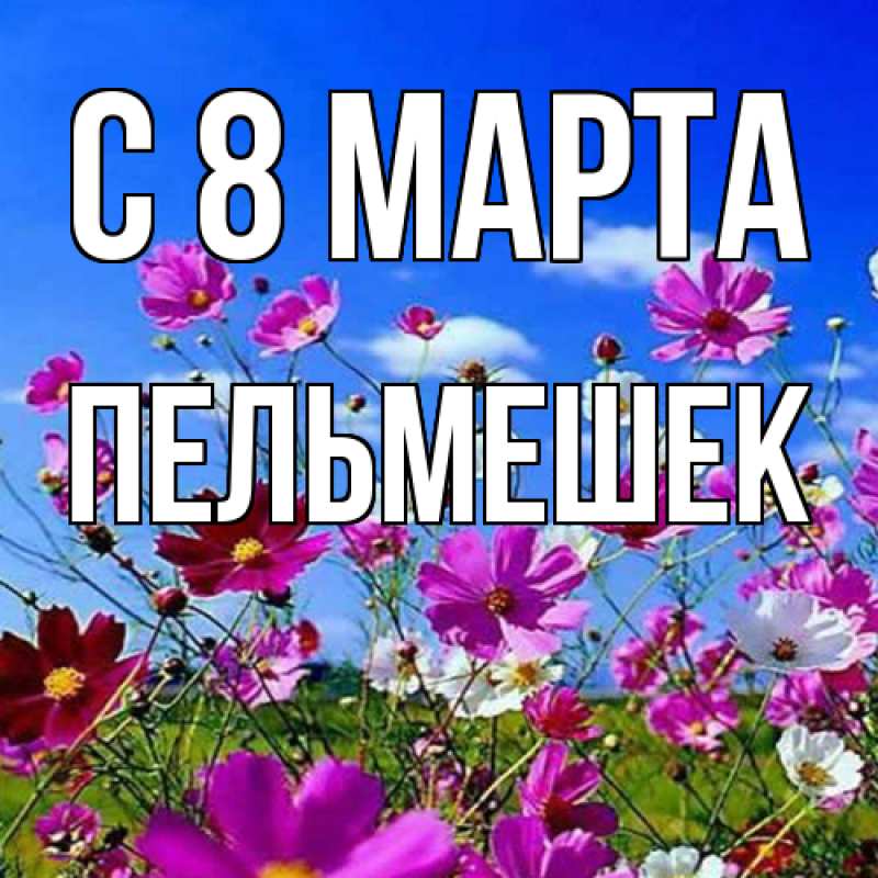 Картинка C 8 МАРТА, пельмешек