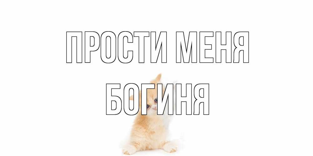 Открытка на каждый день с именем, Богиня Прости меня кот Прикольная открытка с пожеланием онлайн скачать бесплатно 