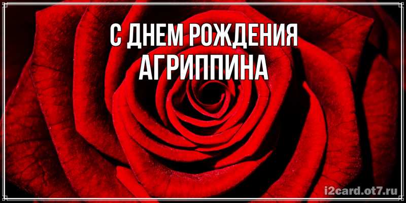 Картинка С днем рождения, Агриппина