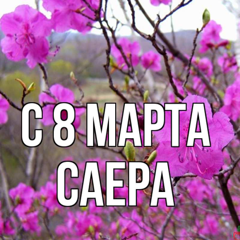 Картинка C 8 МАРТА, Саера
