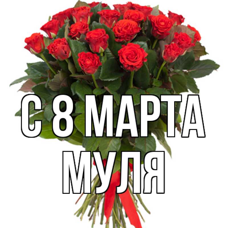 Картинка C 8 МАРТА, Муля