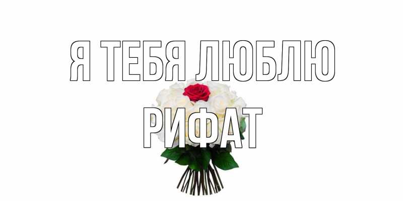 Картинка Я тебя люблю, Рифат