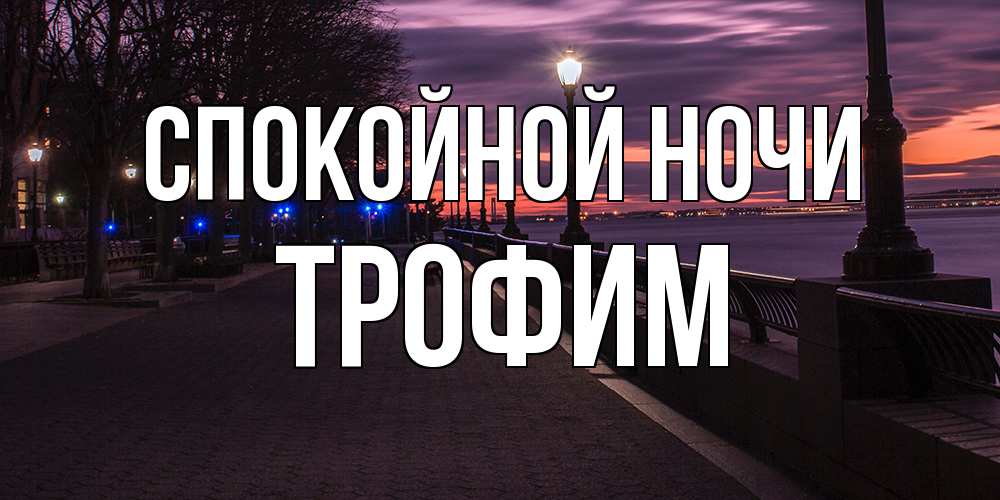 Открытка на каждый день с именем, Трофим Спокойной ночи фонари на фоне реки Прикольная открытка с пожеланием онлайн скачать бесплатно 