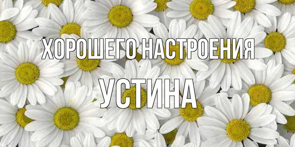 Открытка на каждый день с именем, Устина Хорошего настроения поляна ромашек Прикольная открытка с пожеланием онлайн скачать бесплатно 