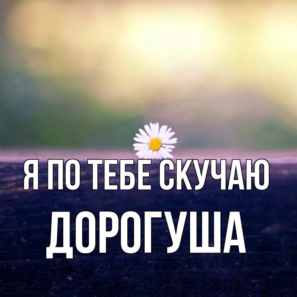 Открытка на каждый день с именем, дорогуша Я по тебе скучаю приходи в гости Прикольная открытка с пожеланием онлайн скачать бесплатно 