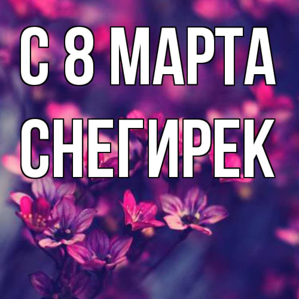 Открытка на каждый день с именем, снегирек C 8 МАРТА небольшие цветы 1 Прикольная открытка с пожеланием онлайн скачать бесплатно 