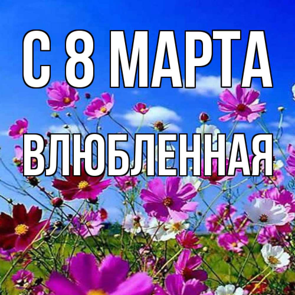 Открытка на каждый день с именем, Влюбленная C 8 МАРТА цветы Прикольная открытка с пожеланием онлайн скачать бесплатно 