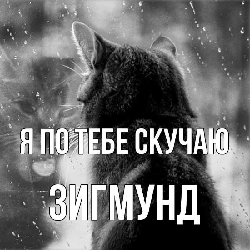 Картинка Я по тебе скучаю, Зигмунд