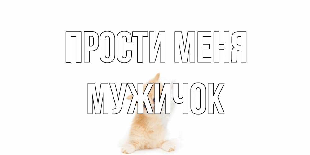 Открытка на каждый день с именем, Мужичок Прости меня кот Прикольная открытка с пожеланием онлайн скачать бесплатно 