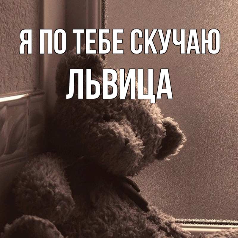 Картинка Я по тебе скучаю, Львица