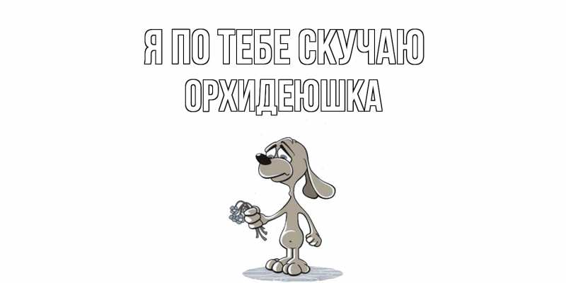 Картинка Я по тебе скучаю, Орхидеюшка